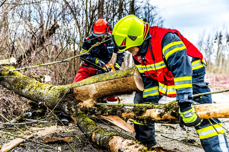 Tree chopping